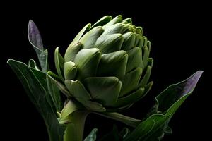 photo of artichoke with no background