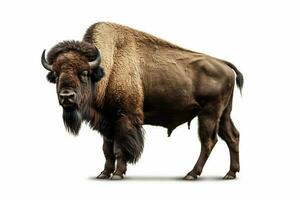 photo of bison with no background