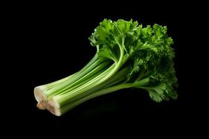 photo of celery with no background
