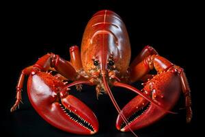 photo of lobster with no background
