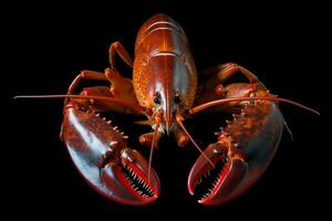 photo of lobster with no background