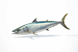 photo of kingfish with no background