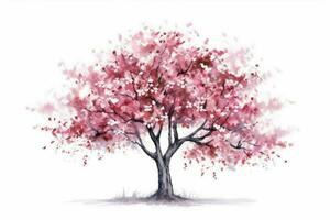 sakura tree on white background illustration photo