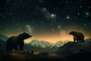 ursa major and ursa minor constellations photo