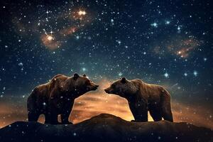 ursa major and ursa minor constellations photo