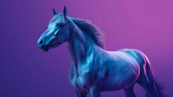 a blue horse with a purple background photo