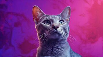 a cat with a purple background and purple backgro photo