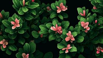 a green plant with pink flowers on it photo