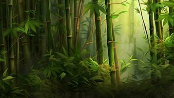 bamboo is a plant that is used in many ways photo