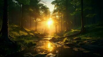 Beautiful Anime Sunset Scenery Forest Forest Volu photo