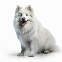 mascota con blanco antecedentes alto calidad ultra hd foto