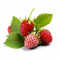 Wild Strawberry with white background high quality photo