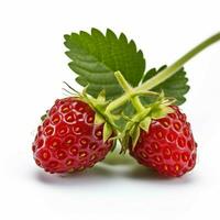 Wild Strawberry with white background high quality photo