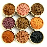 cat Food Brands with transparent background high quality photo