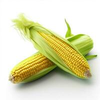 maíz con blanco antecedentes alto calidad ultra hd foto