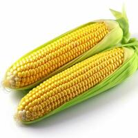 corn with white background high quality ultra hd photo