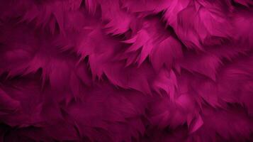 fushia texture high quality photo