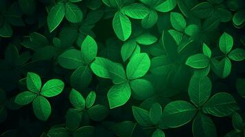 green background high quality photo