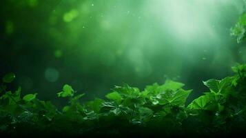 green background high quality photo