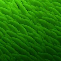 verde antecedentes alto calidad 4k ultra hd hdr foto