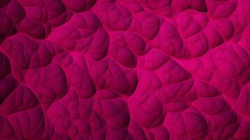 hot pink texture high quality photo