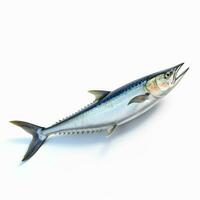 kingfish with white background high quality ultra photo