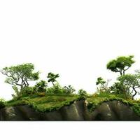 land scaping with white background high quality ultra photo