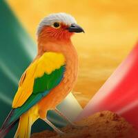 national bird of Djibouti high quality 4k ultra photo