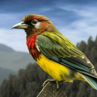 national bird of Ethiopia high quality 4k ultra photo