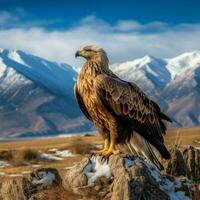 national bird of Kazakhstan high quality 4k ultr photo