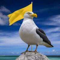 national bird of Nauru high quality 4k ultra hd photo