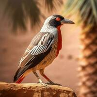 national bird of Sudan high quality 4k ultra hd photo