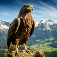 national bird of Switzerland high quality 4k ult photo