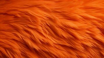 orange texture high quality photo