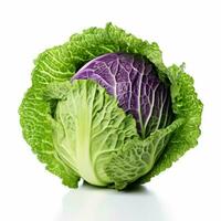 photo of Cabbage with no background with white back