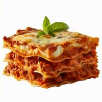 photo of Lasagna with no background with white back