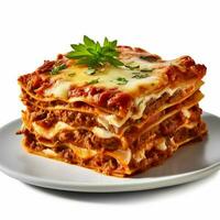 photo of Lasagna with no background with white back