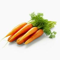 photo of carrots with no background with white back