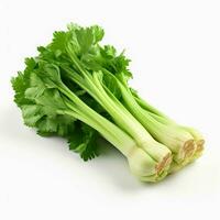 photo of celery with no background with white back