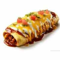 photo of enchilada with no background with white