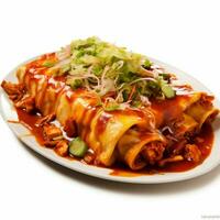 photo of enchilada with no background with white