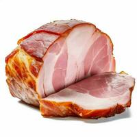 photo of ham with no background with white back