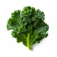 photo of kale with no background with white background