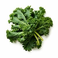 photo of kale with no background with white background