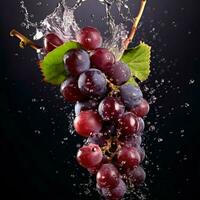 product shots of a fast shutter speed food photograph photo