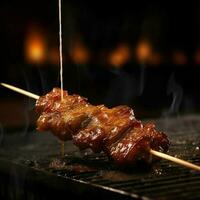 product shots of chinese food beef terriyaki on a photo