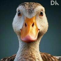 product shots of duck high quality 4k ultra hd h photo