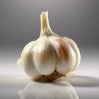 product shots of photo of Garlic with no backgrou