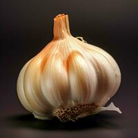 product shots of photo of Garlic with no backgrou