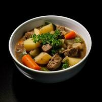 product shots of photo of Irish stew with no back